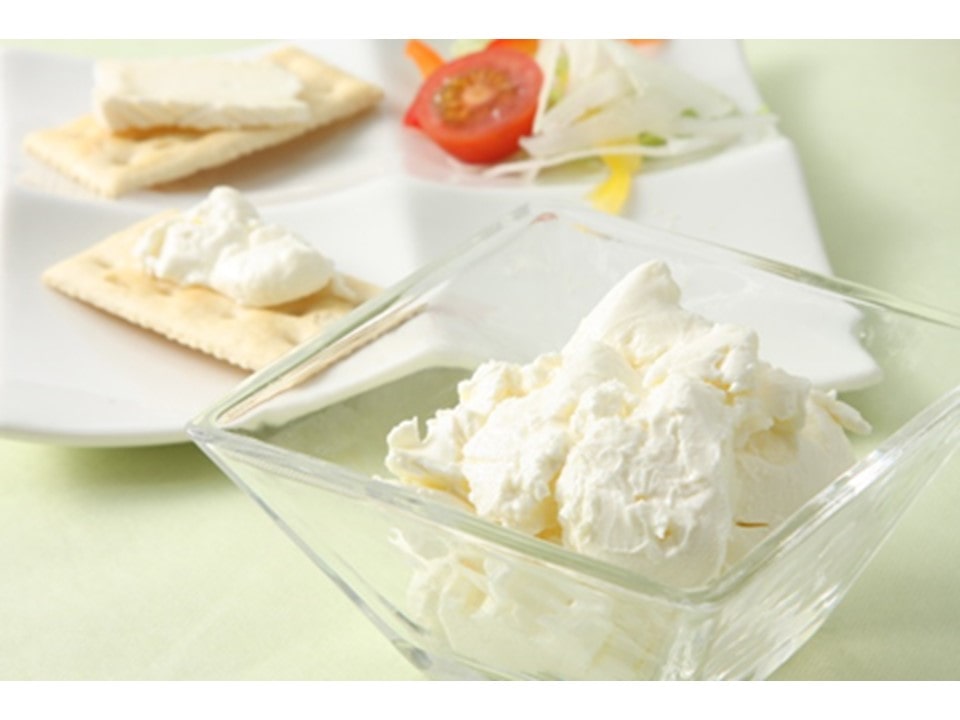 【送料込み】【北海道】とろける北海道プリンとチーズケーキセット（江戸屋） ※冷凍配送 【熨斗対応可】