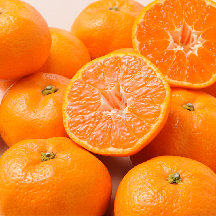 【静岡県】ハウスみかん １.１ｋｇ(フルーツワールド)【送料込み】