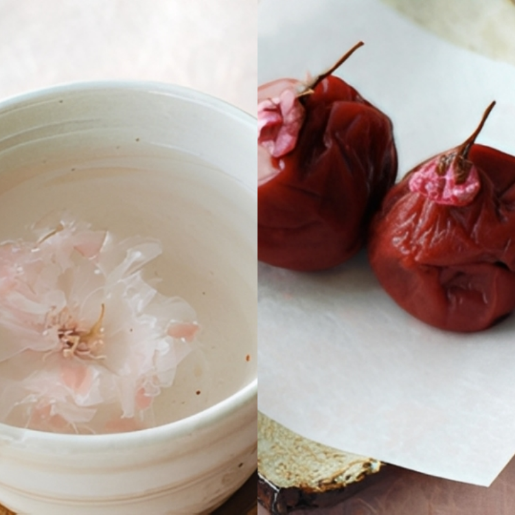 【送料込み】【奈良県】王隠堂 さくら梅 ８００ｇ