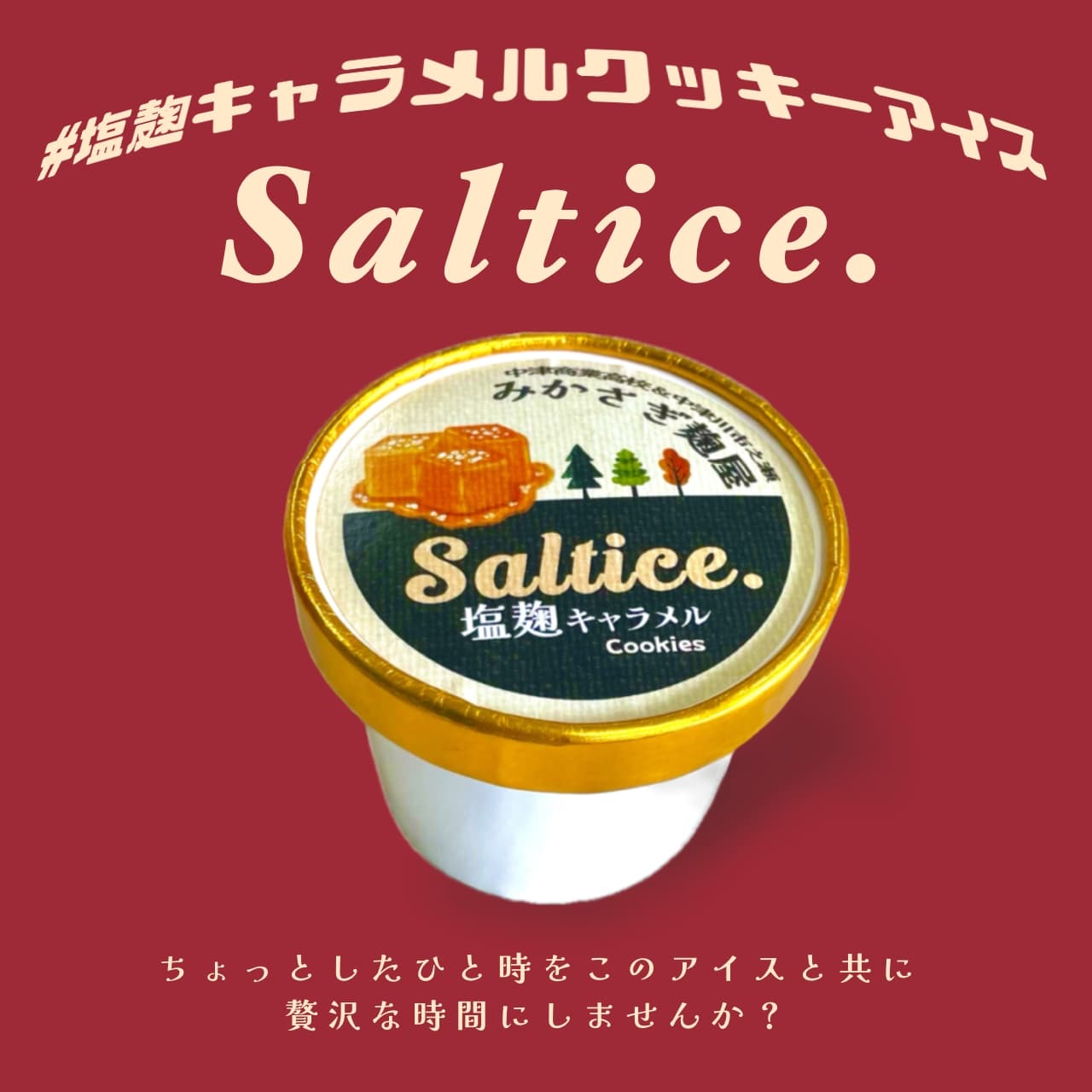【送料込み】【岐阜県】塩麹キャラメルクッキーアイスSaltice 6個入 ※冷凍配送 【熨斗対応可】 6個入