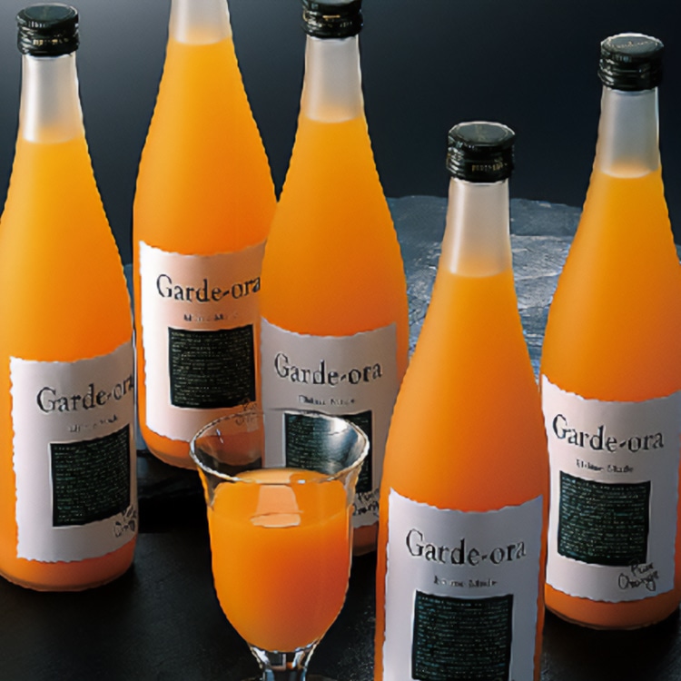 【送料込み】【愛媛県】ガーディ・オレ・スペシャル