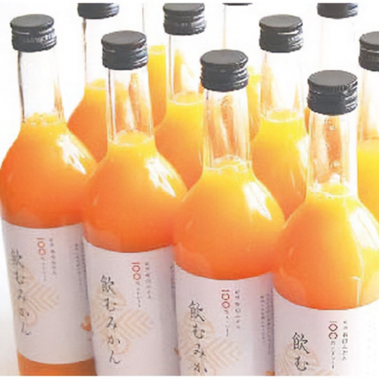 【送料込み】【和歌山県】早和果樹園 有田みかんジュース「飲むみかん」 ７２０ml×１２本セット