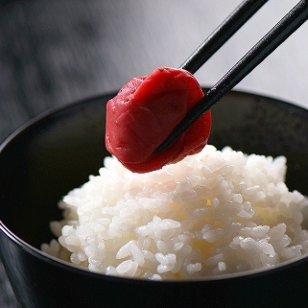 【送料込み】【奈良県】王隠堂 むかし梅干500g