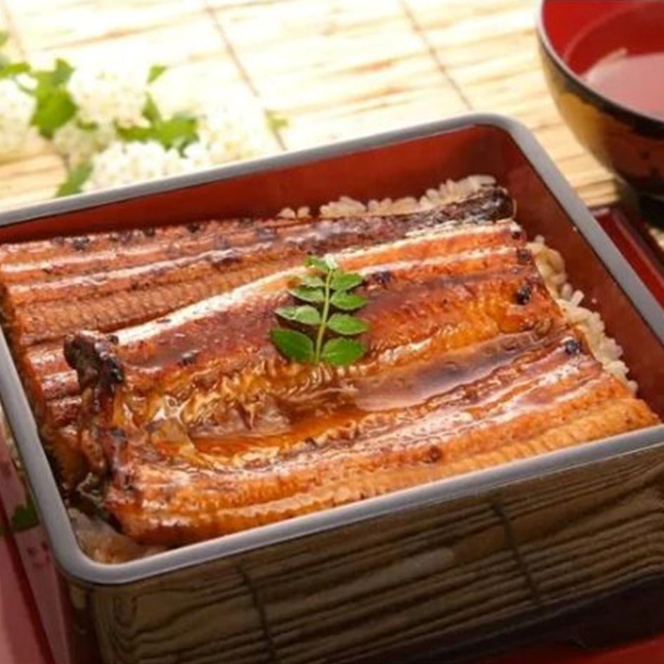 【送料込み】【静岡県】静岡産マルマうなぎ蒲焼2尾(計240g) ※冷凍配送