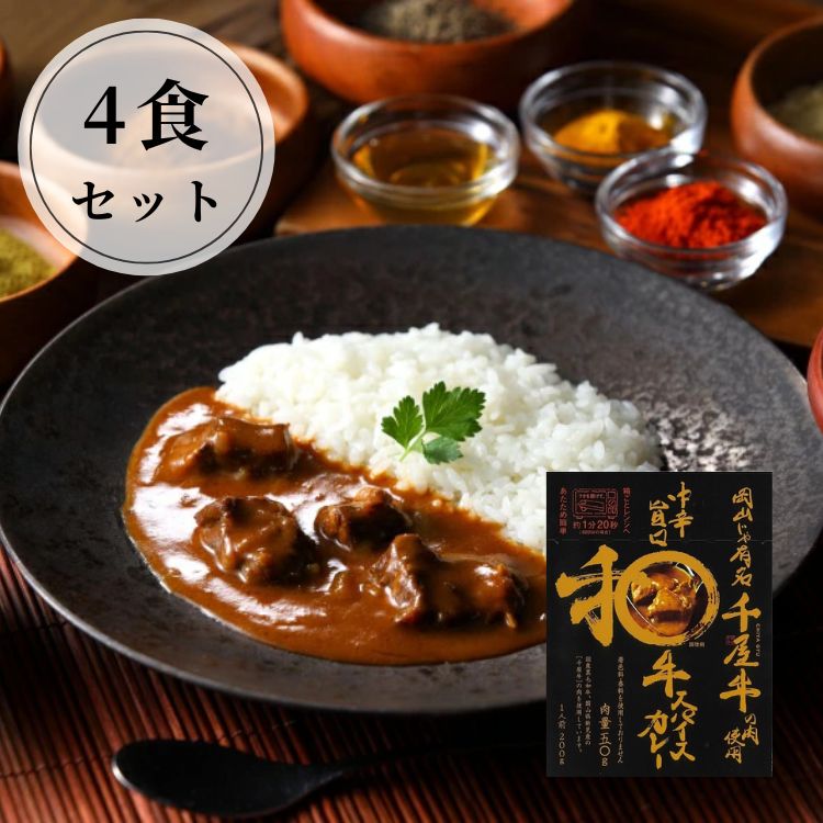 【送料込み】【岡山県】中辛旨口スパイスカレー4食セット