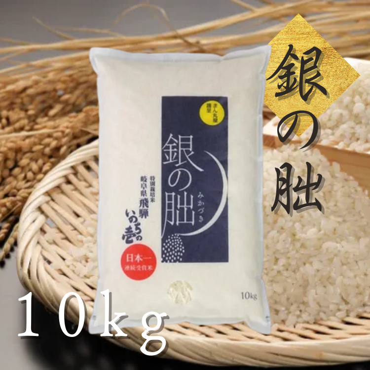 【送料込み】【岐阜県】特別栽培米 銀の朏 白米 １０ｋｇ（まん丸屋）