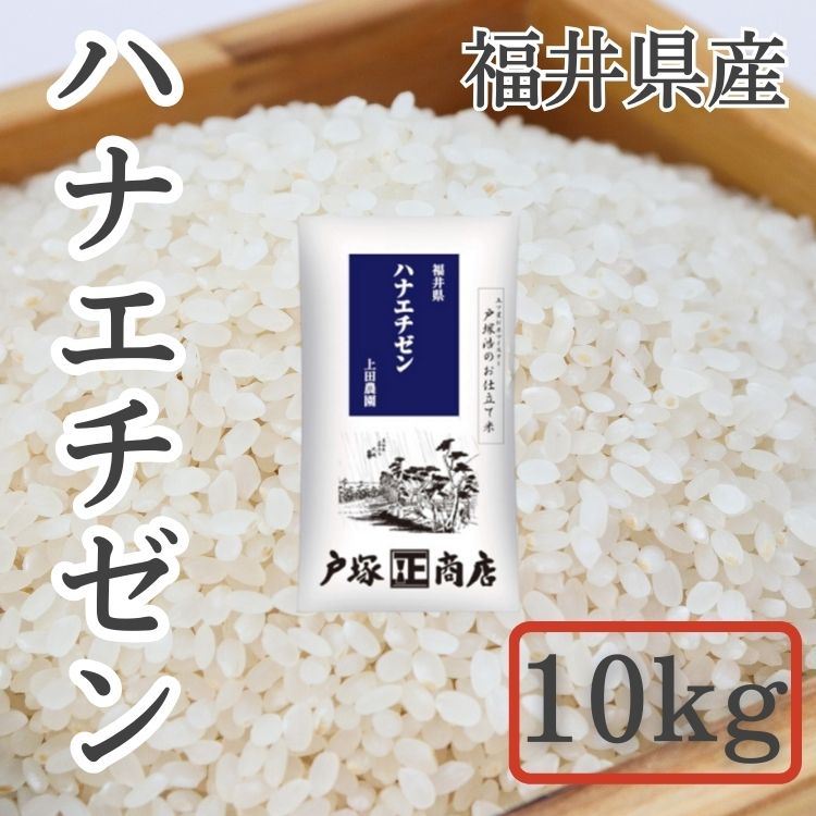 【送料込み】【新米】【福井県】福井県産 上田農園 ハナエチゼン 10kg(戸塚正商店)