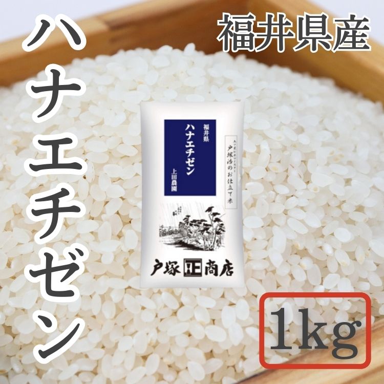 【送料込み】【新米】【福井県】福井県産 上田農園 ハナエチゼン 1kg(戸塚正商店)