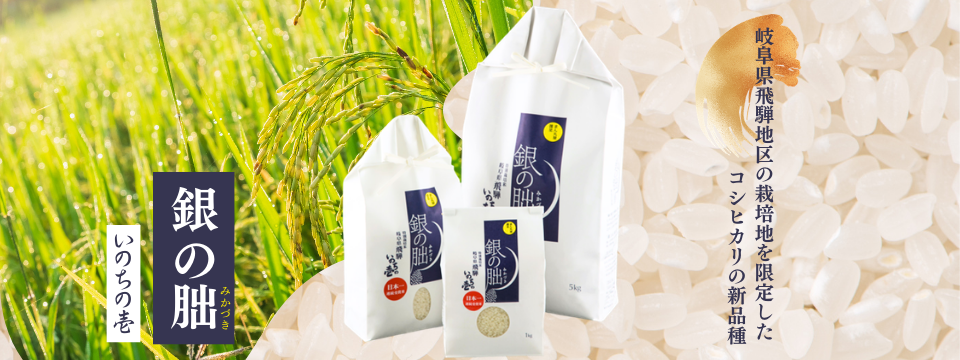 岐阜県飛騨地区 銀の朏 いのちの壱