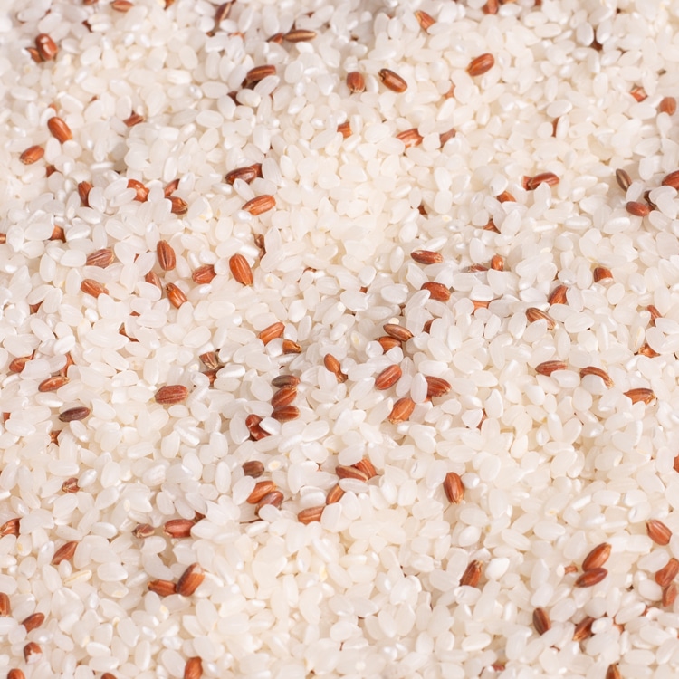 赤米がブレンドされた福福米