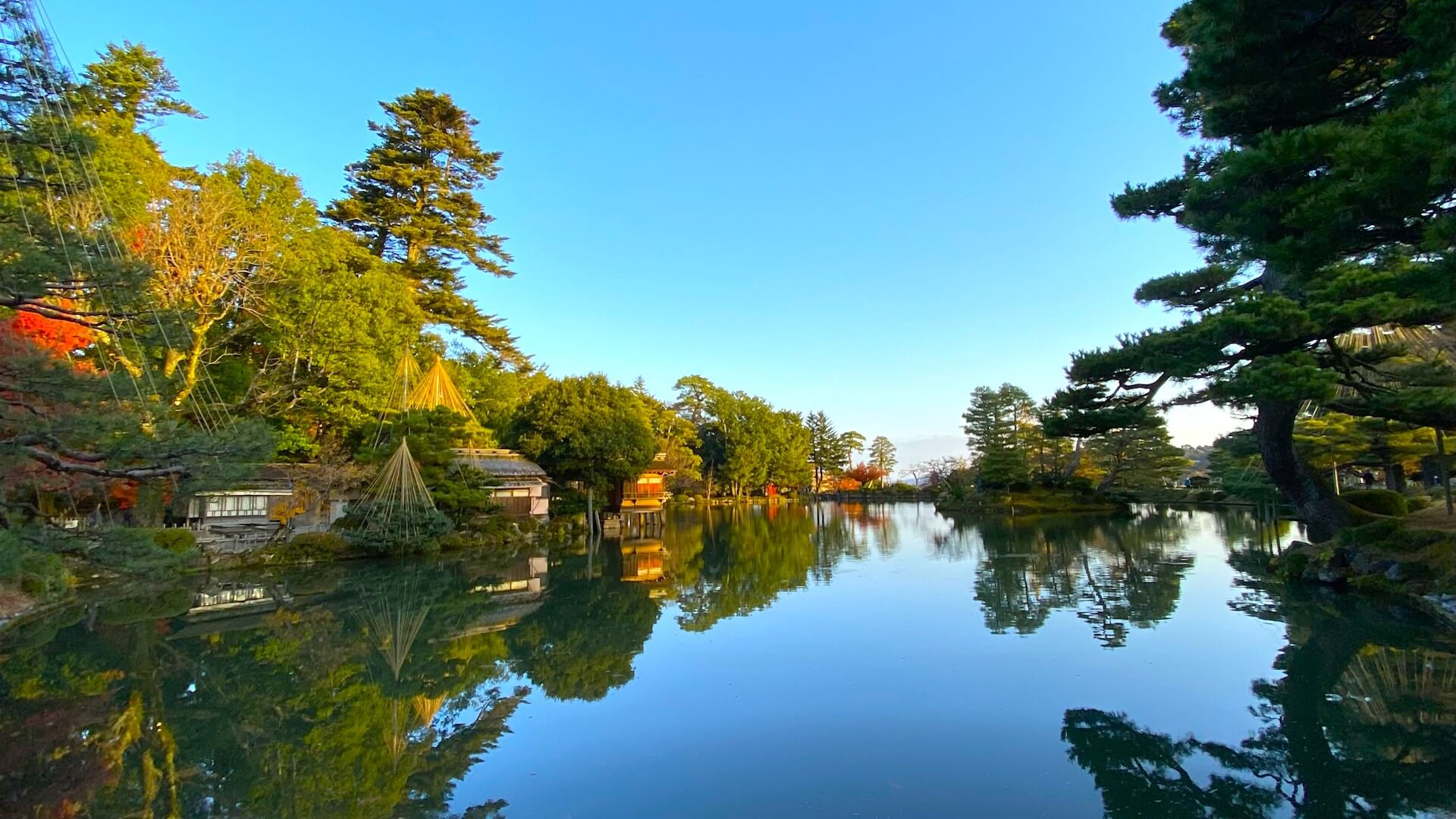 ライトアップされた兼六園