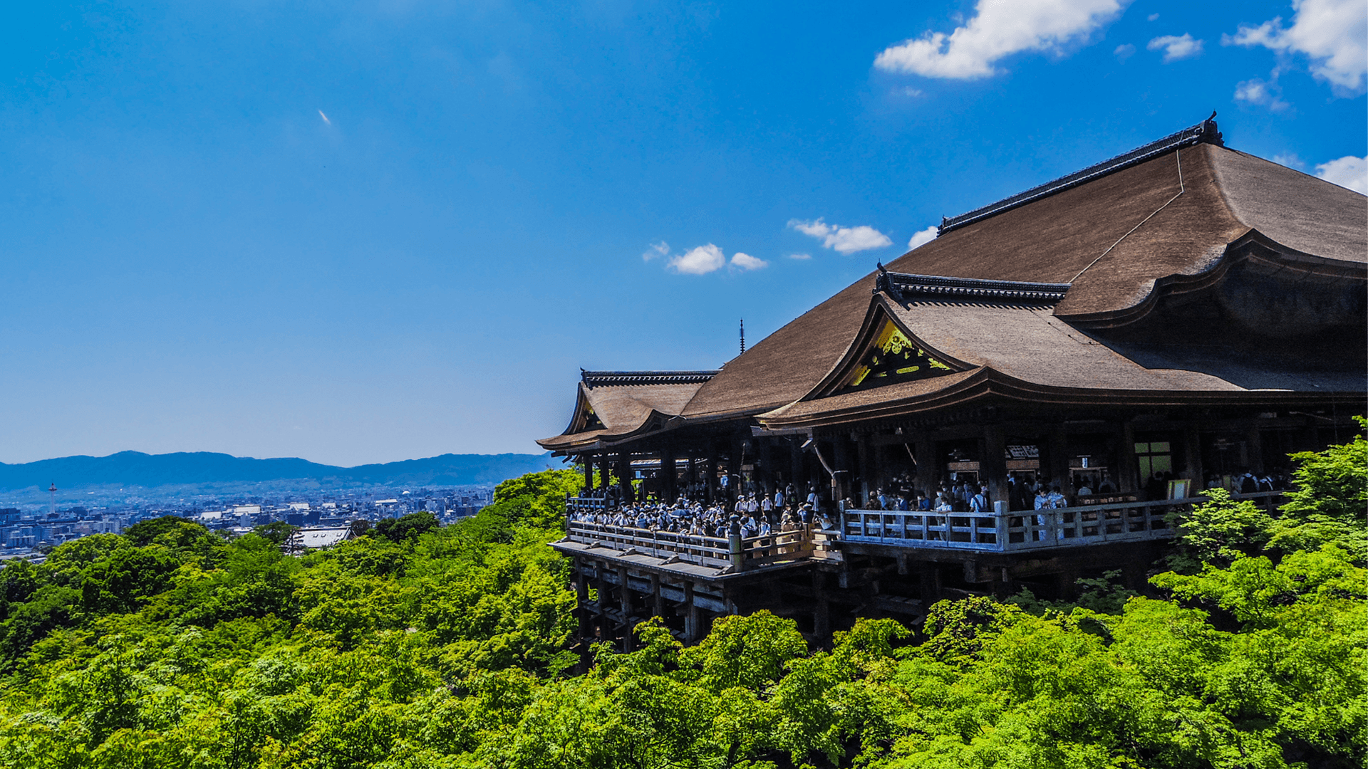 ライトアップされた京都の寺院