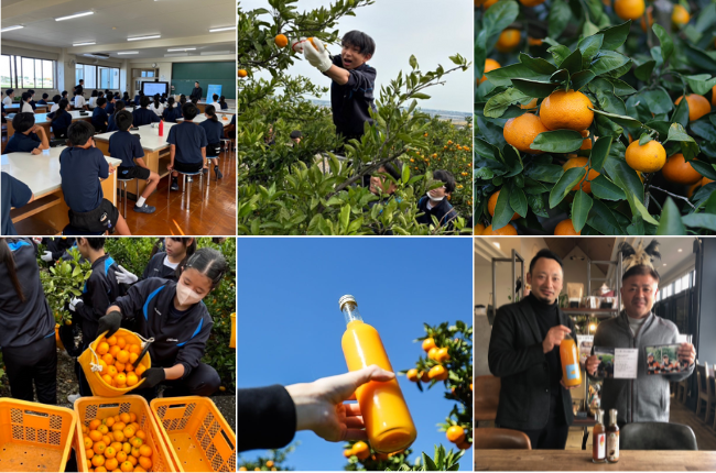 ミカンプロジェクト①