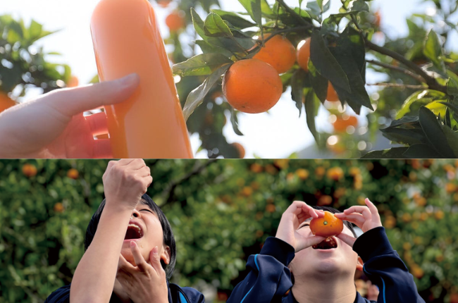 ミカンプロジェクト②