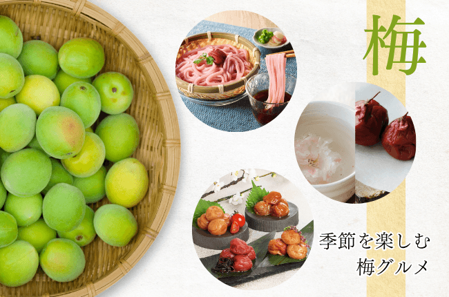 梅特集