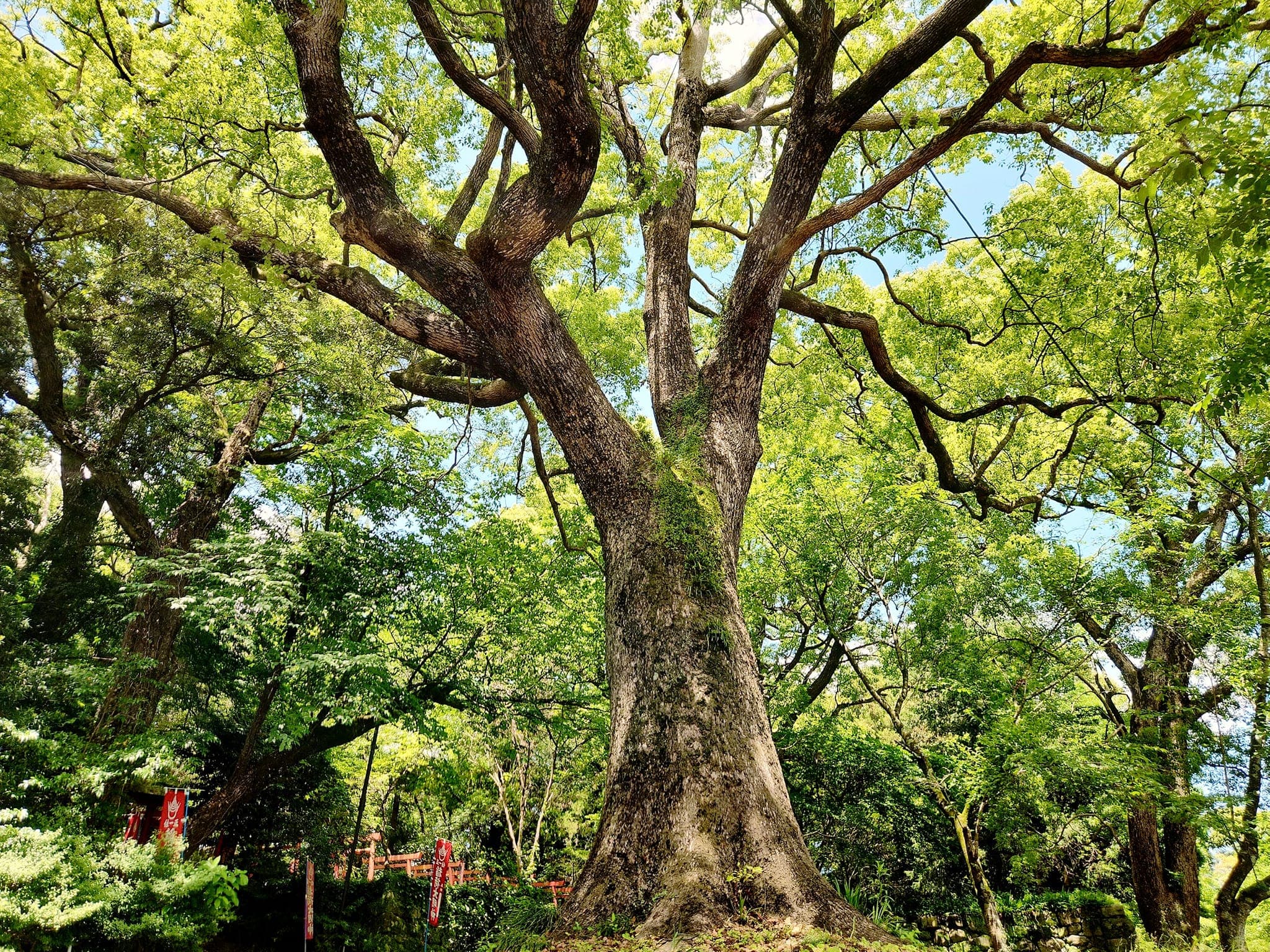 【こども】「フィールドディスカバリーゲーム」親子ワークショップ