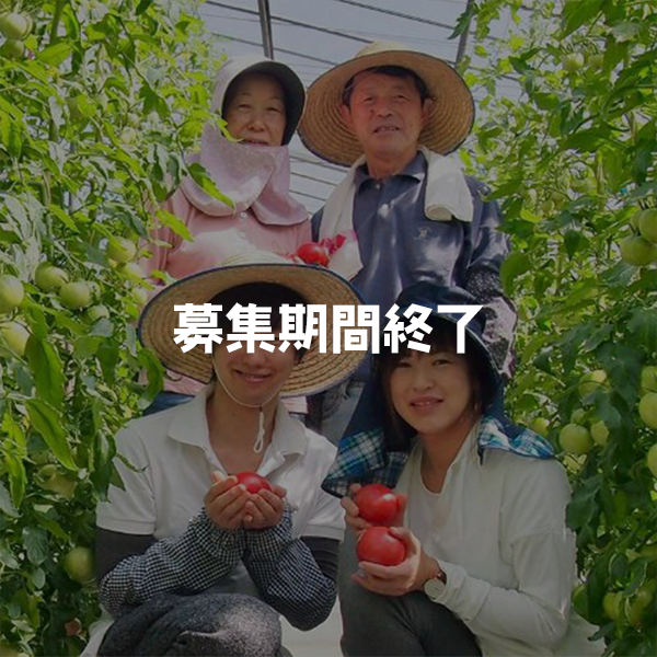 ［農業×フードロス］地域PRを実践するスタディプログラム【山梨県中央市 ヨダファーム】