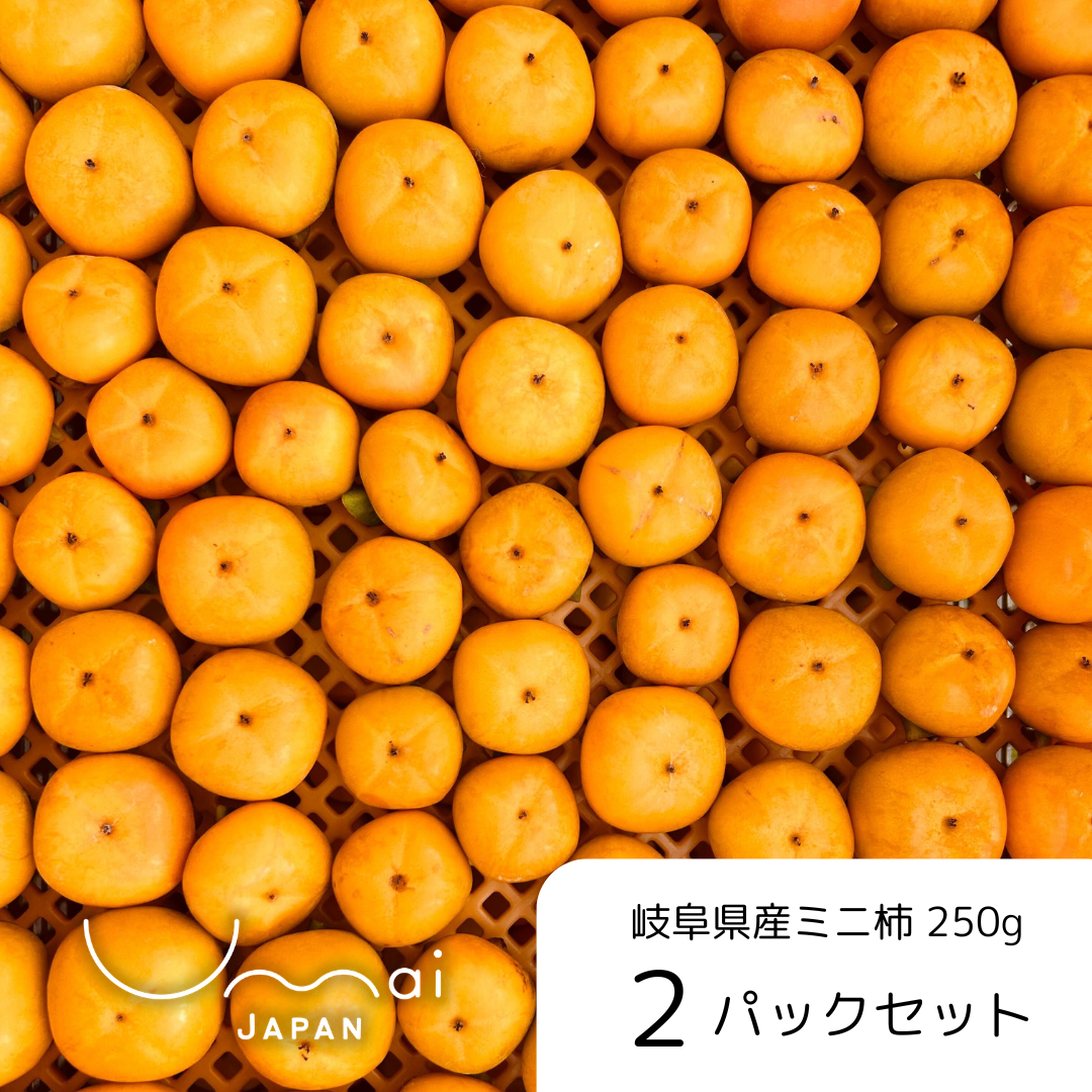岐阜県産ミニ柿 2パックセット