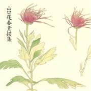 山口蓬春 素描集