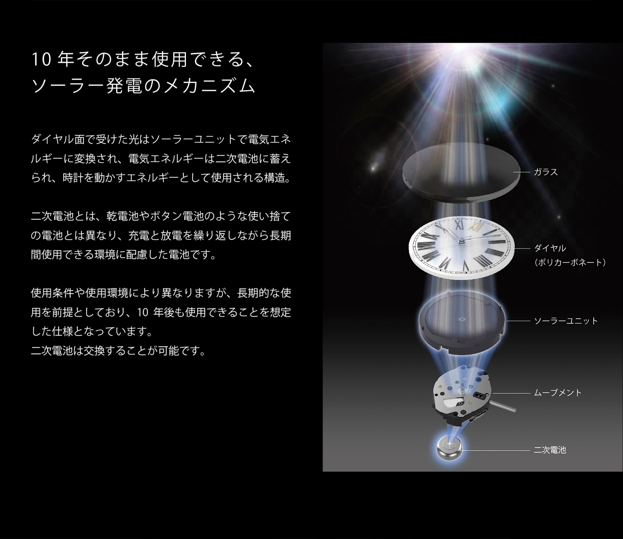 D8画像 （商品詳細用追加画像）