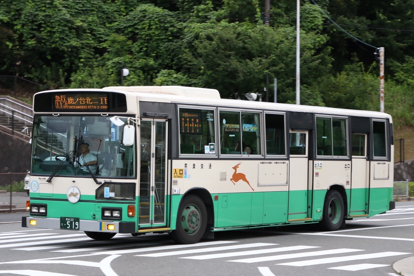  【3Dアクバス】奈良交通　日野ブルーリボン581号車（小型）