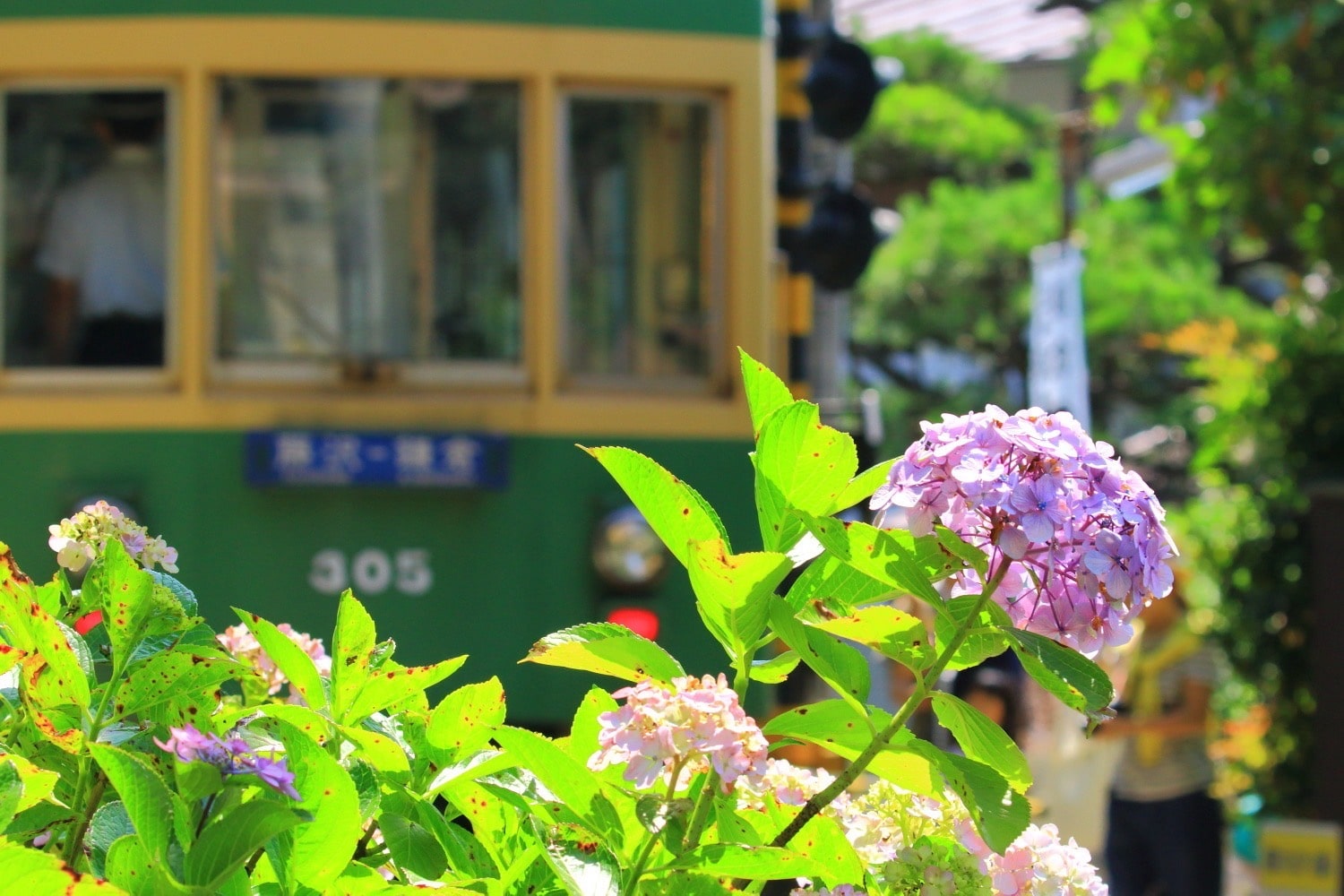  【3Dアクデン】江ノ電300形305・355号車（2両セット）