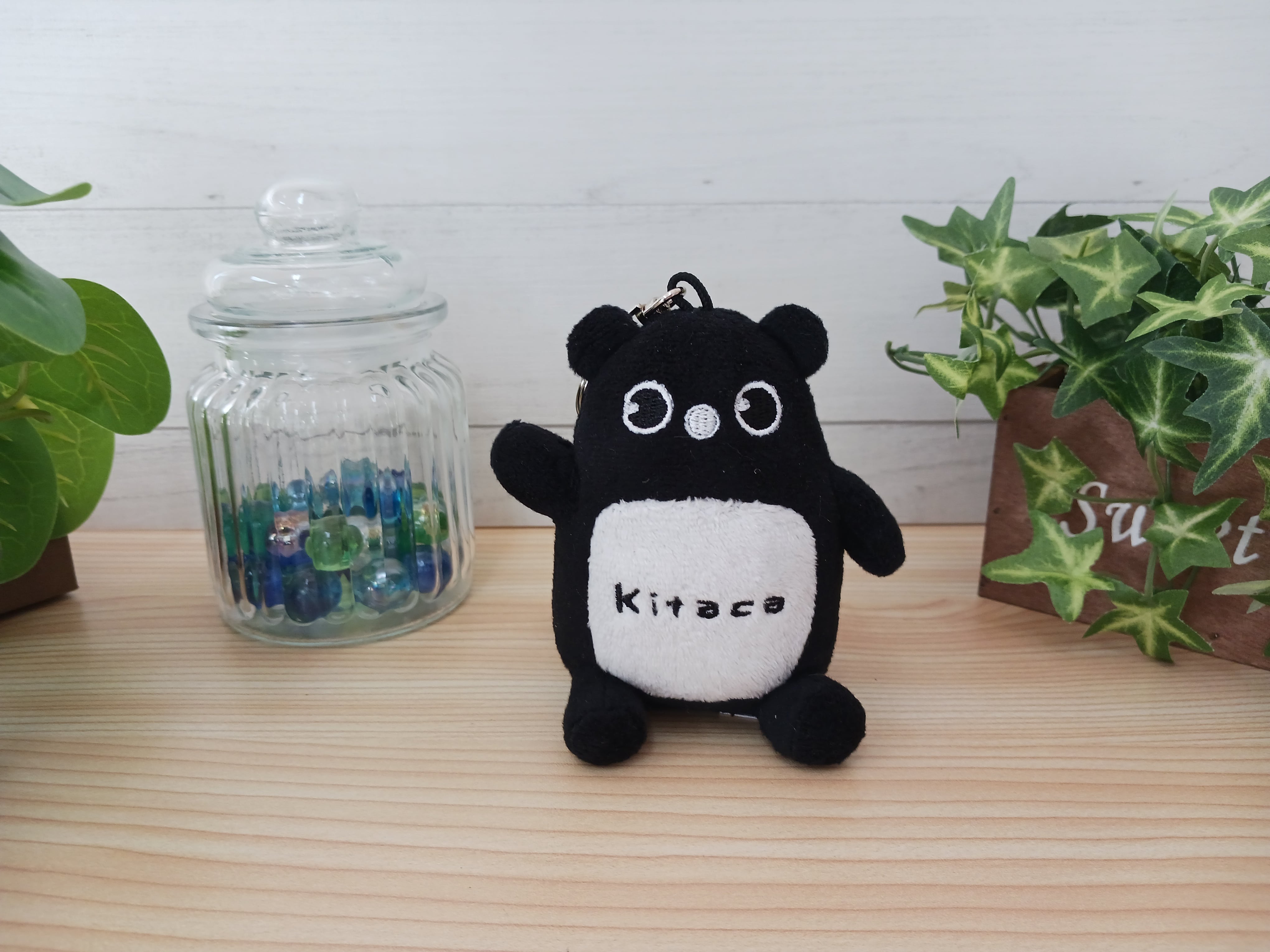 JR北海道 Kitacaぬいぐるみキーホルダー
