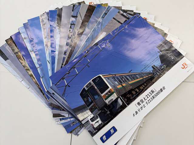 JR東海　長野県伊那松島運輸区管内限定　ワンマン列車乗車案内カード　5種セット JR東海 長野県伊那松島運輸区管内限定 ワンマン列車乗車案内カード 5種