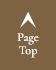 Page Top