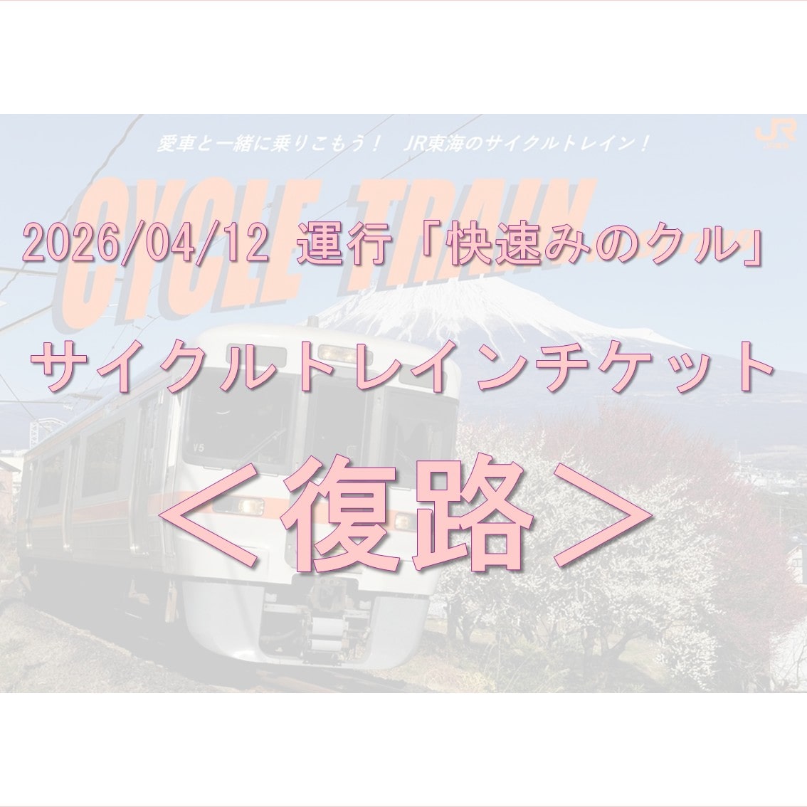 【みのクル】サイクルトレインチケット≪甲斐上野⇒静岡・富士≫