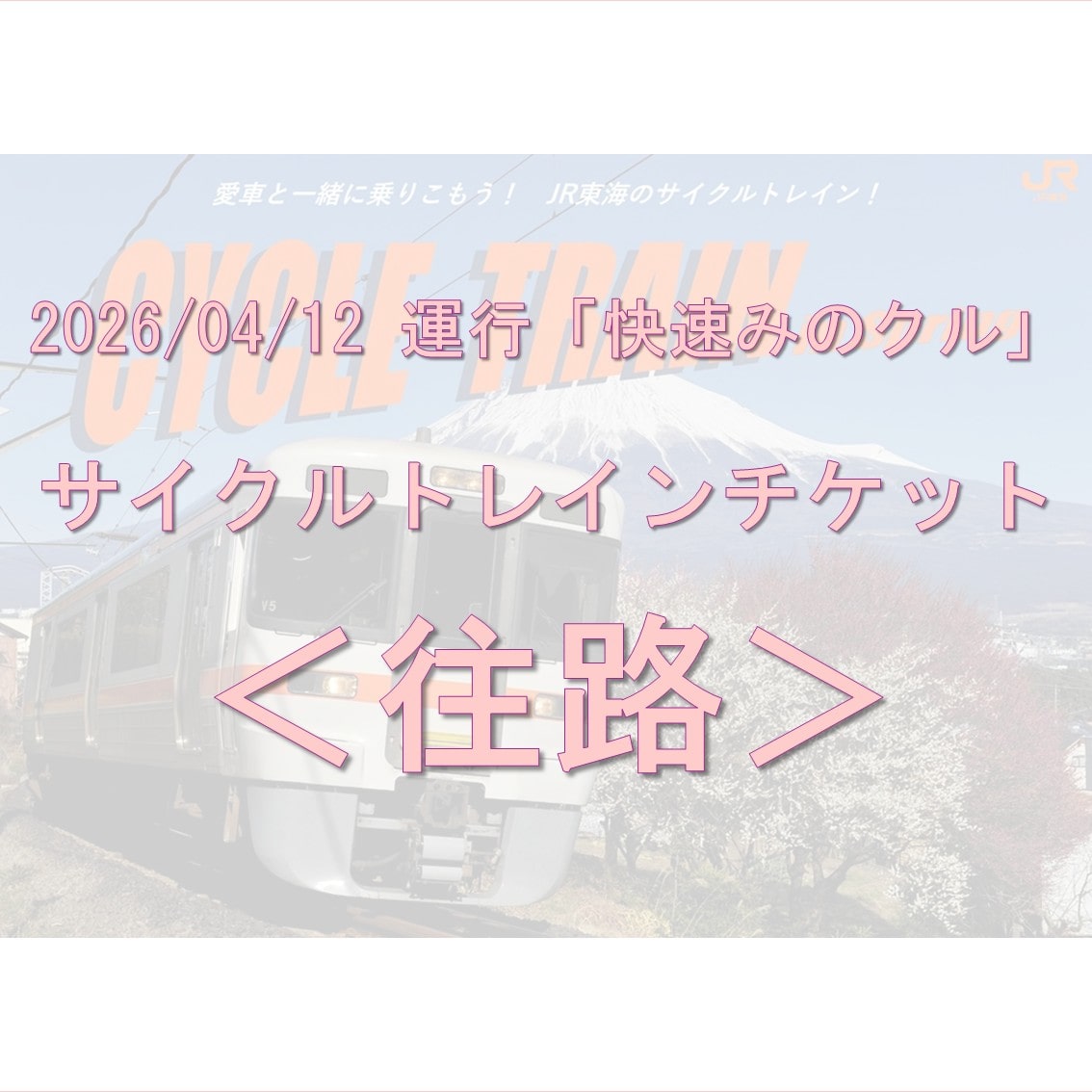 【みのクル】サイクルトレインチケット≪静岡・富士⇒ 甲斐上野≫