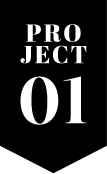project01