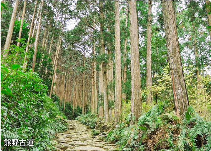 熊野古道